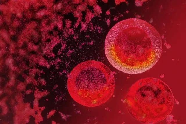 感染症ウイルスイメージ