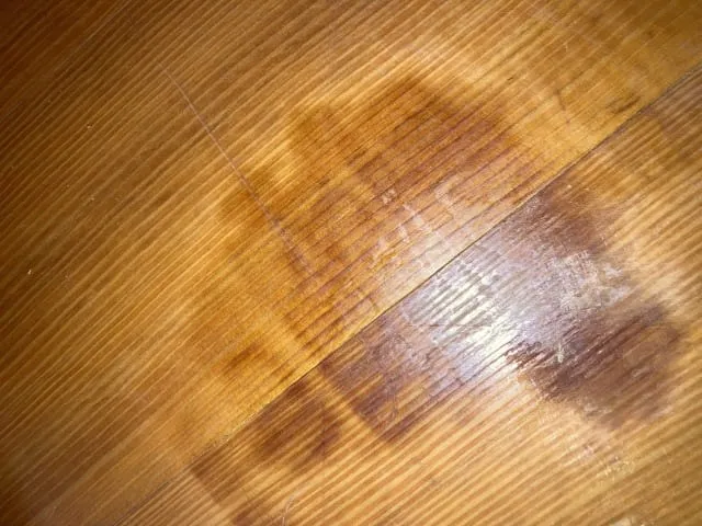 孤独死が原因で発生する床に残るシミ